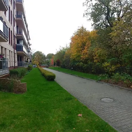 Słoneczny *